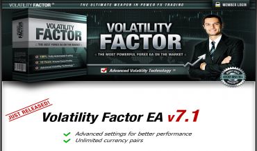 volatility-factor-review