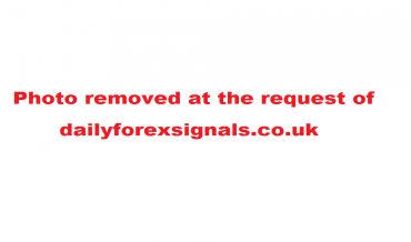 daily-forex-signals-co-uk-review
