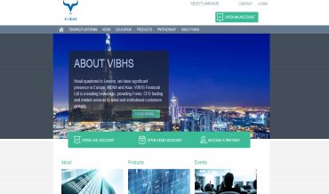vibhs-financial-review